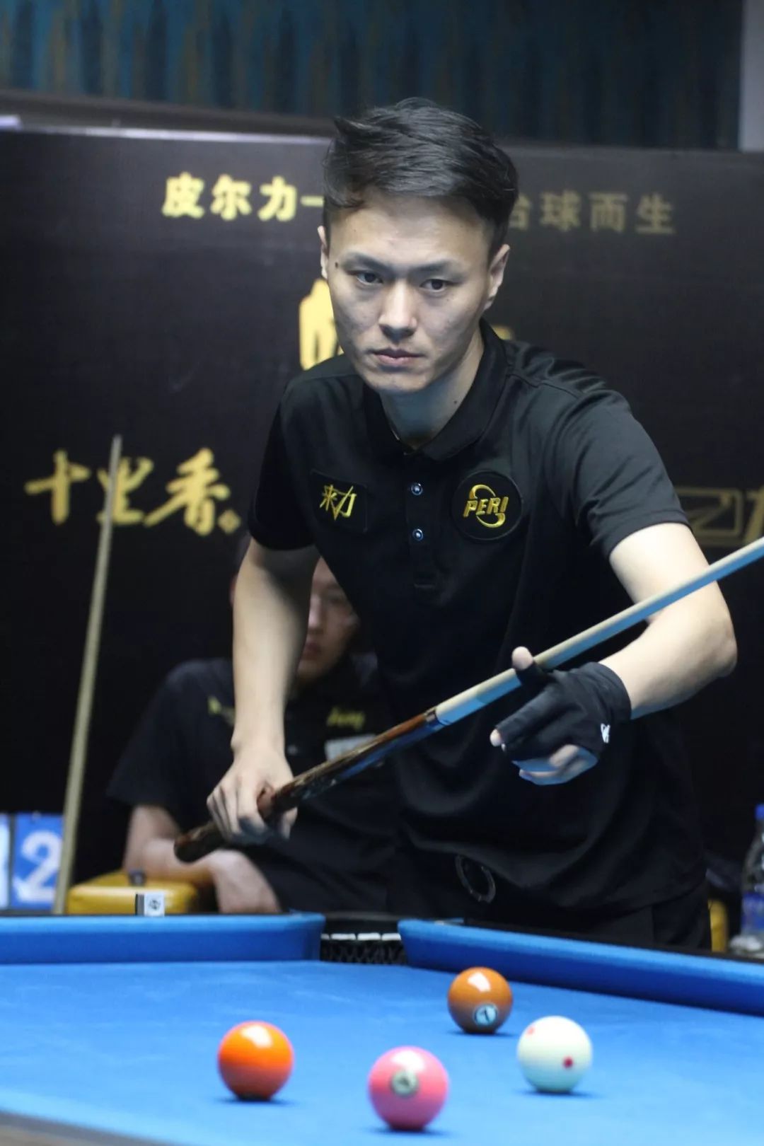 透露任何细 透露任何细